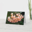 Search for macro photography cards Plants