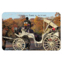 Search for carriage magnets Horse and carriage