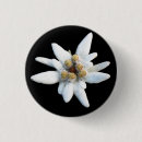 Search for alpine badges Mountain