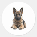 Search for german shepherd puppy stickers Pet