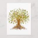 Search for thirteen postcards Modern