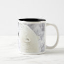 Search for polar bear in snow mugs Animals