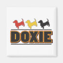 Search for doxies magnets Animals