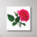 Search for buds canvas prints Pink