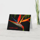 Search for heaven photo cards Nature