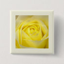 Search for yellow rose badges Flower