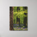 Search for bluebell canvas prints Landscape