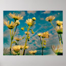 Search for grass flower posters White