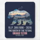 Search for grand teton national park mousepads Nature