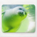 Search for seal mousepads Marine mammals