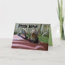 Search for yorkie birthday cards Dog