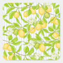Search for branches stickers Summer