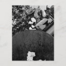 Search for typewriter postcards Black