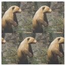 Search for bear fabric Wildlife