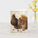 Search for durer cards Animals