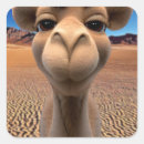 Search for desert camel stickers Cute