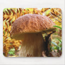 Search for fungi mousepads Forest