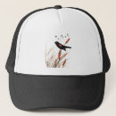 Search for winged hats Nature