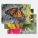 Search for monarch butterfly wrapping paper Nature