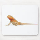 Search for bloods electronics Animal
