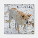 Search for snow white magnets Puppy