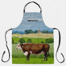 Search for bull aprons Cattle
