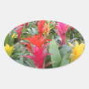 Search for plants oval stickers Flower