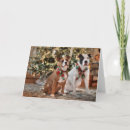 Search for pitbull christmas cards Puppy