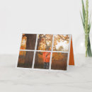 Search for window dressing Autumn