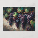 Search for purple grapes postcards Winery