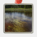 Search for transparent christmas tree decorations Vertical