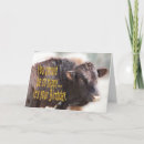 Search for dad jokes birthday cards Happy