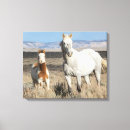 Search for horse canvas prints Mare