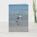 Search for ocean photo cards Bird