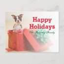 Search for box photo cards Animal