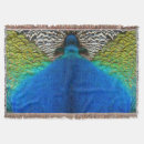 Search for peacock feathers photography Abstract