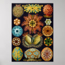 Search for scientific Vintage