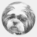 Search for shih tzu stickers Animals