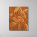 Search for botany canvas prints Botanical