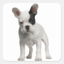 Search for puppy eyes stickers Dog