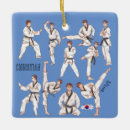 Search for taekwondo christmas tree decorations Sports