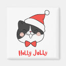 Search for jolly magnets Merry