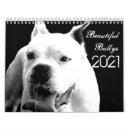 Search for boxer dog calendars Pitbull