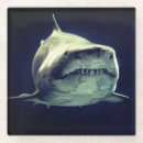 Search for shark home living Fin