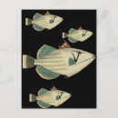 Search for sportsman postcards Fish