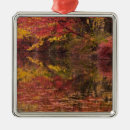 Search for delaware christmas tree decorations Delaware water gap