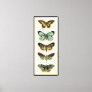 Search for collection canvas prints Insects