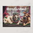 Search for dog photos postcards Dogs