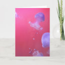Search for jellyfish cards Pink