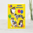 Search for australian shepherds cards Aussies